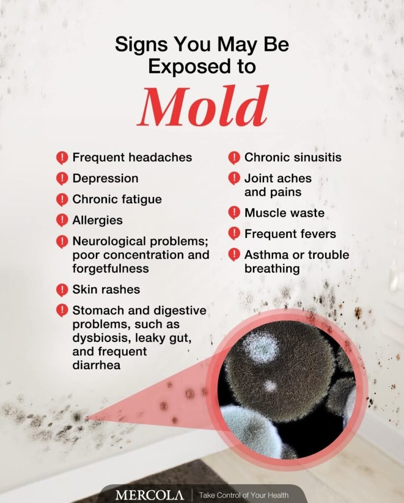 Infographic displaying signs you may be exposed to mold.